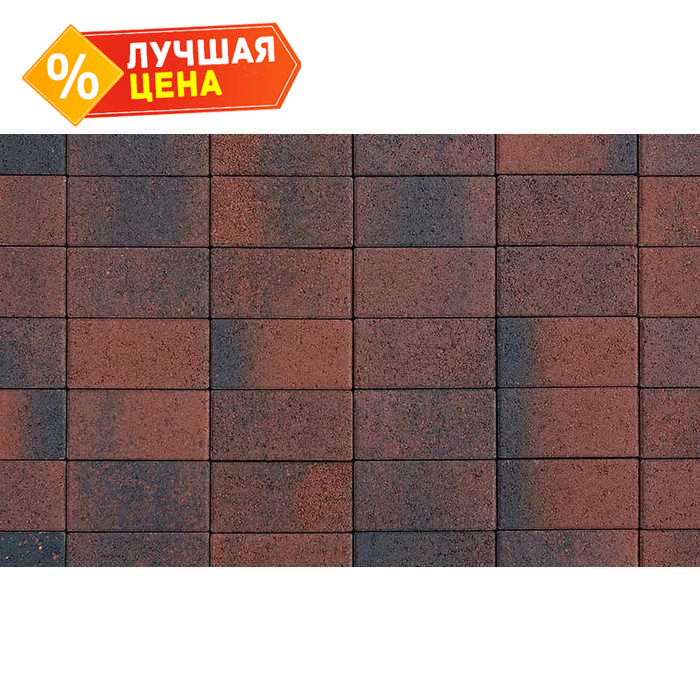 Плитка тротуарная Прямоугольник (Ла-Линия) Б.2.П.8 Листопад гранит Клинкер 200x100x80 мм
