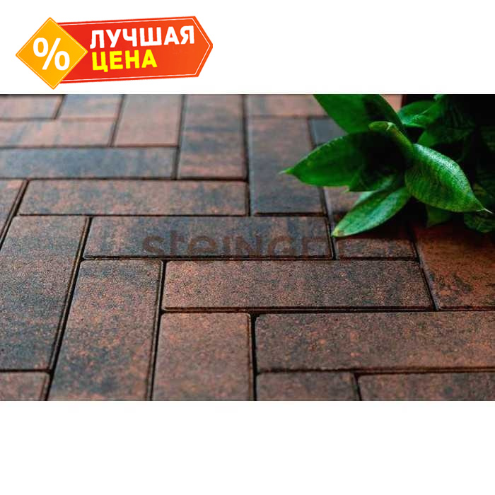 Плитка тротуарная Steingot Color Mix, Паркет, Тигр, 240x80x60 мм