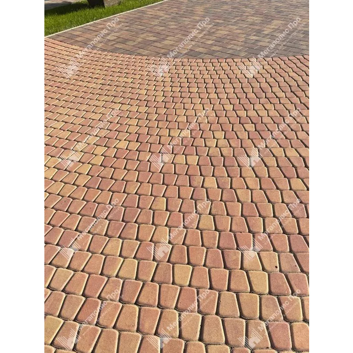  - фото 4